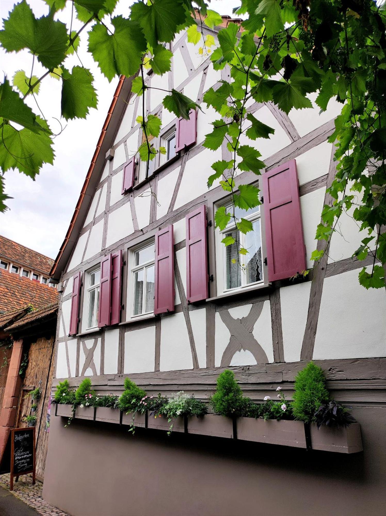 Hofgarten Rosa Ilbesheim bei Landau in der Pfalz Экстерьер фото