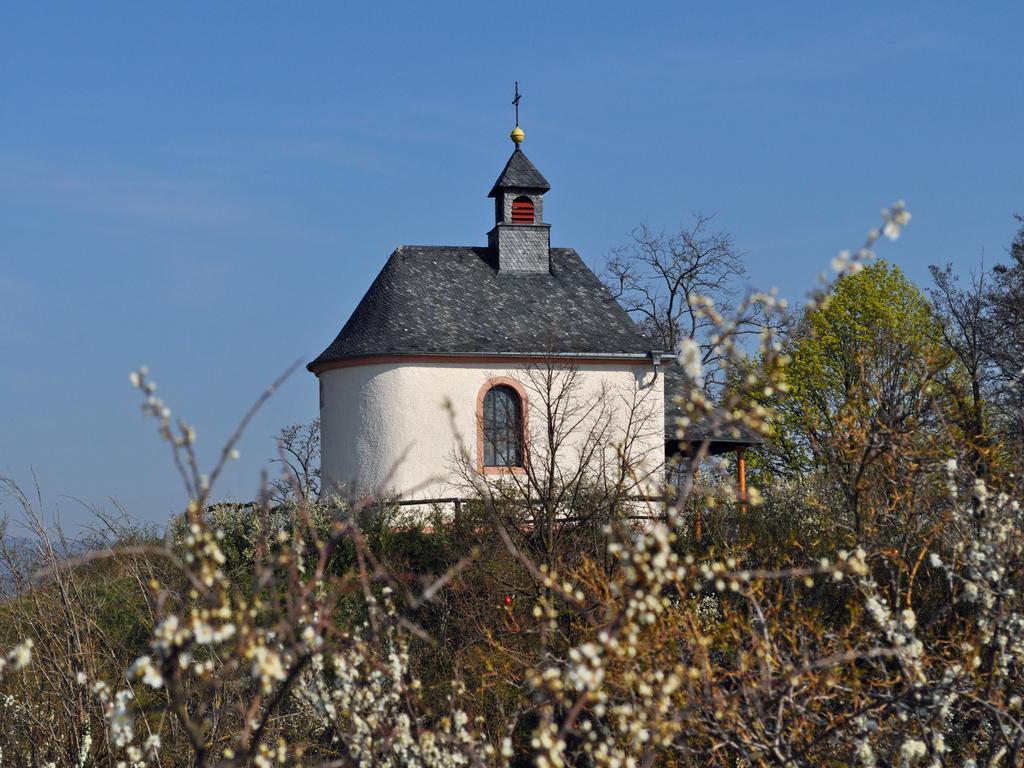 Hofgarten Rosa Ilbesheim bei Landau in der Pfalz Экстерьер фото