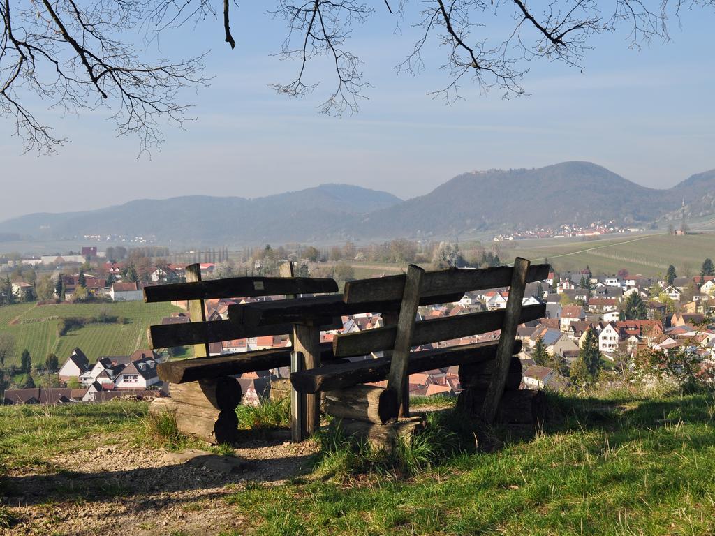 Hofgarten Rosa Ilbesheim bei Landau in der Pfalz Экстерьер фото